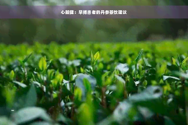 心脏健：早搏患者的丹参茶饮建议