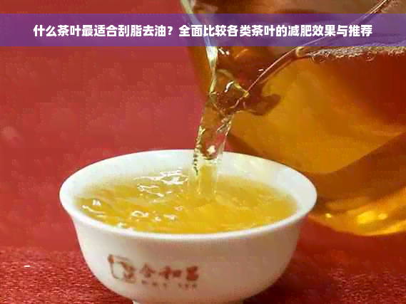 什么茶叶最适合刮脂去油？全面比较各类茶叶的减肥效果与推荐