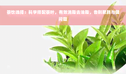 茶饮选择：科学搭配茶叶，有效消脂去油脂，告别肥胖与健问题