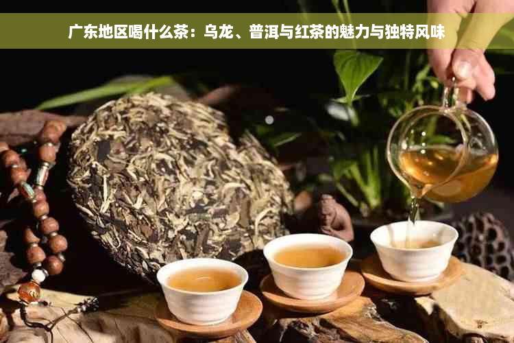 广东地区喝什么茶：乌龙、普洱与红茶的魅力与独特风味