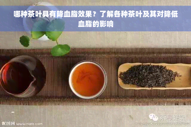 哪种茶叶具有降血脂效果？了解各种茶叶及其对降低血脂的影响