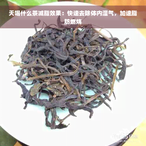 天喝什么茶减脂效果：快速去除体内湿气，加速脂肪燃烧