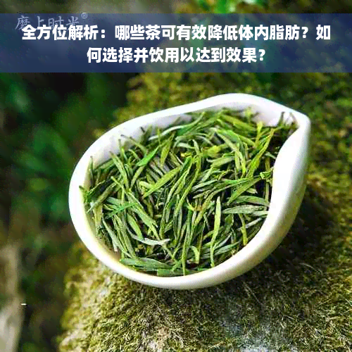 全方位解析：哪些茶可有效降低体内脂肪？如何选择并饮用以达到效果？