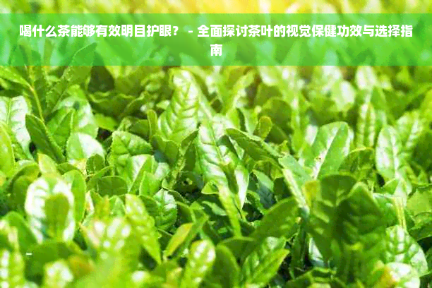 喝什么茶能够有效明目护眼？ - 全面探讨茶叶的视觉保健功效与选择指南