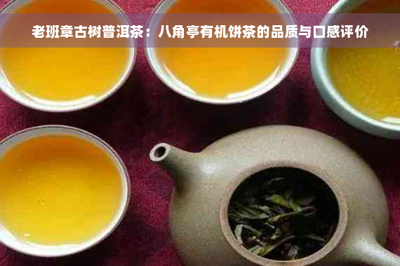 老班章古树普洱茶：八角亭有机饼茶的品质与口感评价