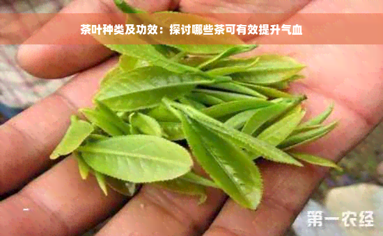 茶叶种类及功效：探讨哪些茶可有效提升气血