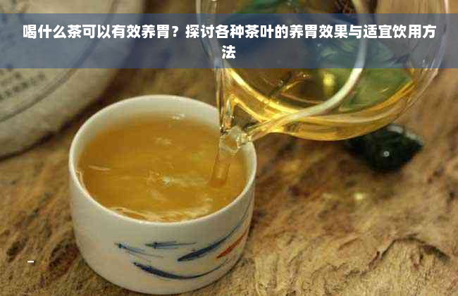 喝什么茶可以有效养胃？探讨各种茶叶的养胃效果与适宜饮用方法