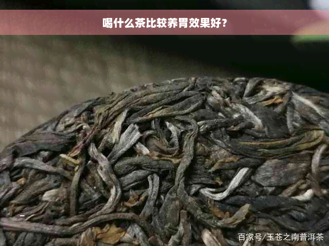 喝什么茶比较养胃效果好？