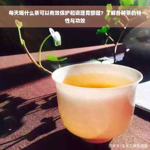 每天喝什么茶可以有效保护和调理胃部健？了解各种茶的特性与功效