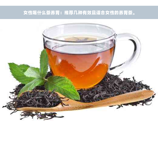 女性喝什么茶养胃：推荐几种有效且适合女性的养胃茶。