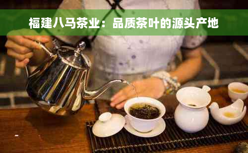 福建八马茶业：品质茶叶的源头产地