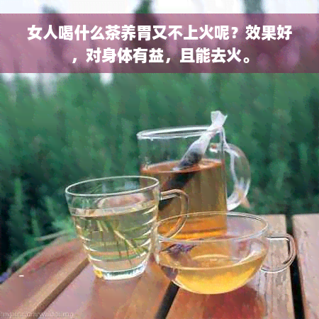 女人喝什么茶养胃又不上火呢？效果好，对身体有益，且能去火。