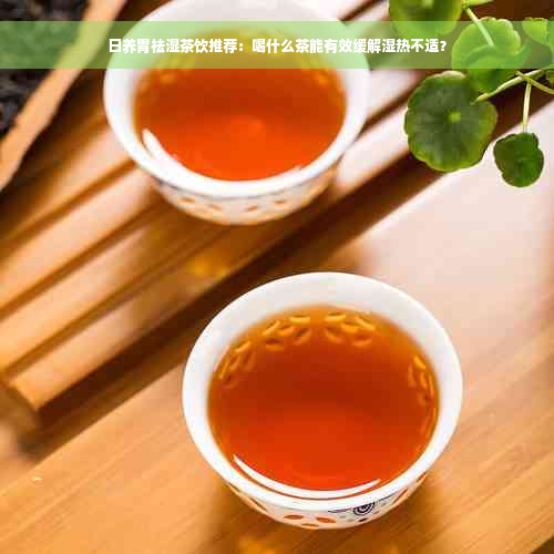 日养胃祛湿茶饮推荐：喝什么茶能有效缓解湿热不适？