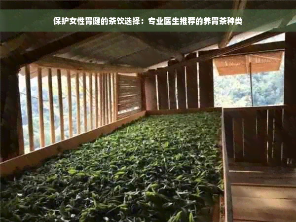 保护女性胃健的茶饮选择：专业医生推荐的养胃茶种类