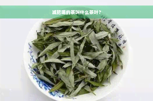 减肥喝的茶叫什么茶叶？