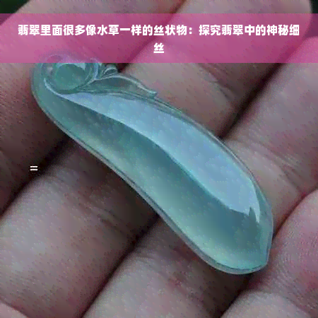 翡翠里面很多像水草一样的丝状物：探究翡翠中的神秘细丝