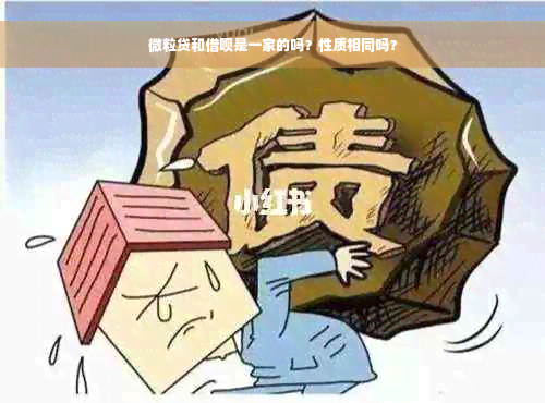 微粒贷和借呗是一家的吗？性质相同吗？