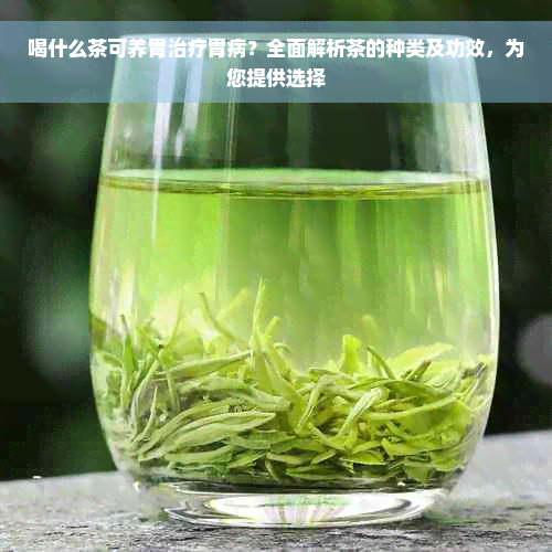 喝什么茶可养胃治疗胃病？全面解析茶的种类及功效，为您提供选择