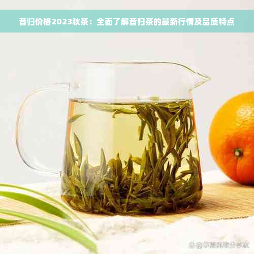 昔归价格2023秋茶：全面了解昔归茶的最新行情及品质特点