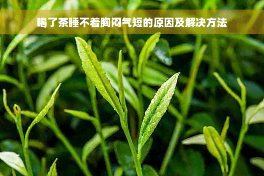 喝了茶睡不着胸闷气短的原因及解决方法