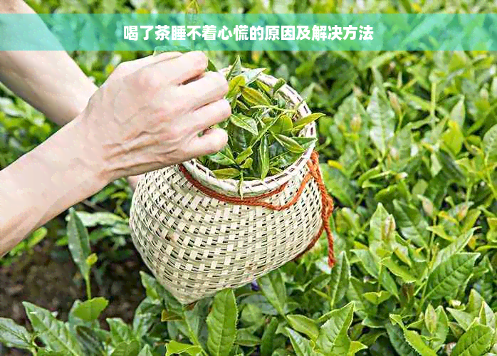 喝了茶睡不着心慌的原因及解决方法