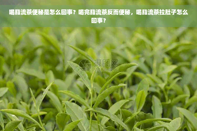 喝脂流茶便秘是怎么回事？喝完脂流茶反而便秘，喝脂流茶拉肚子怎么回事？