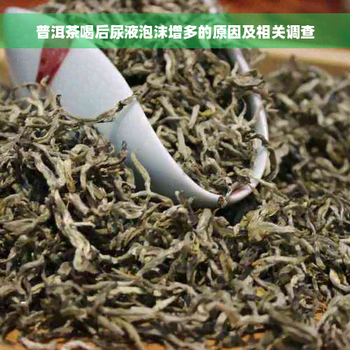 普洱茶喝后尿液泡沫增多的原因及相关调查