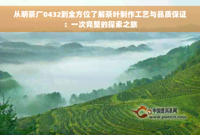 从明茶厂0432到全方位了解茶叶制作工艺与品质保证：一次完整的探索之旅