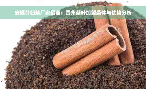 安顺昔归茶厂家招商：贵州茶叶加盟条件与优势分析