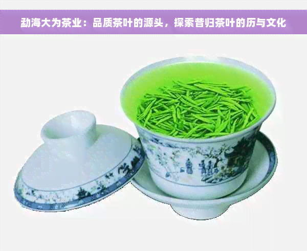 勐海大为茶业：品质茶叶的源头，探索昔归茶叶的历与文化