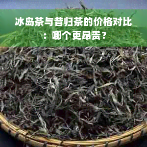 冰岛茶与昔归茶的价格对比：哪个更昂贵？