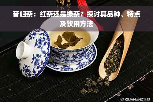 昔归茶：红茶还是绿茶？探讨其品种、特点及饮用方法