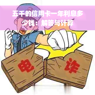 五千的信用卡一年利息多少钱：解答与计算