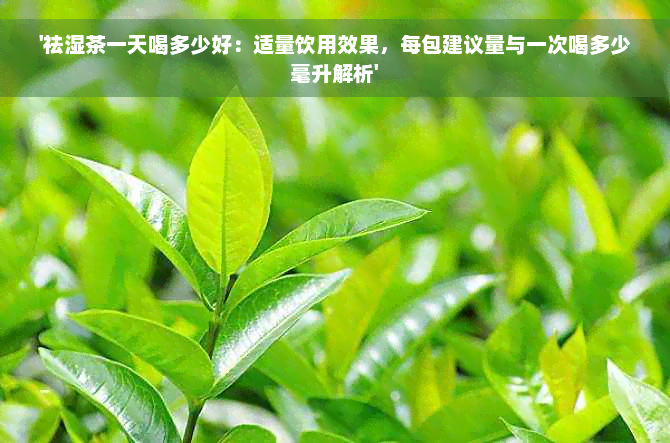 '祛湿茶一天喝多少好：适量饮用效果，每包建议量与一次喝多少毫升解析'