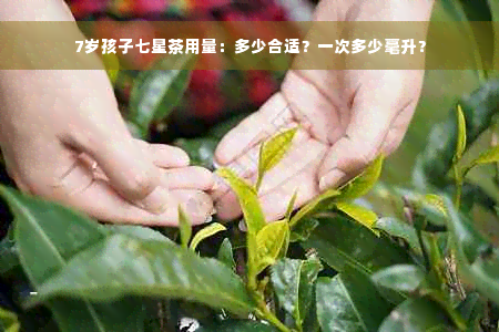 7岁孩子七星茶用量：多少合适？一次多少毫升？