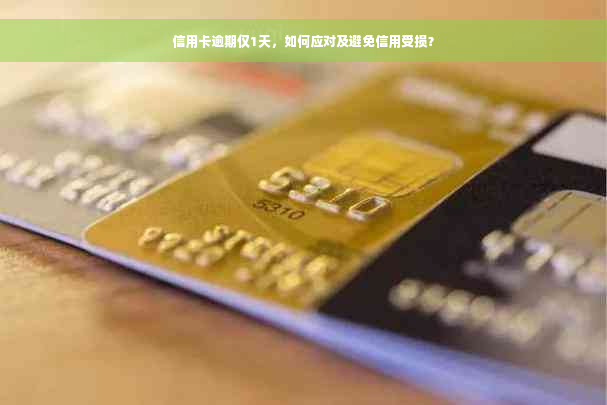 信用卡逾期仅1天，如何应对及避免信用受损？