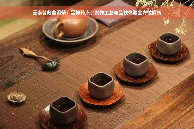 云南昔归普洱茶：品种特点、制作工艺与品饮体验全方位解析