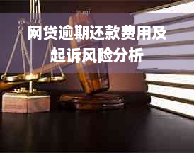 网贷逾期还款费用及起诉风险分析