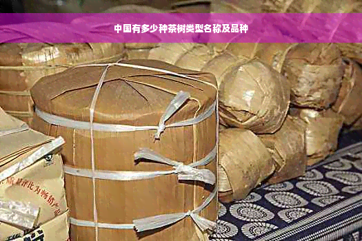 中国有多少种茶树类型名称及品种