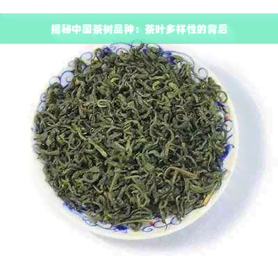 揭秘中国茶树品种：茶叶多样性的背后