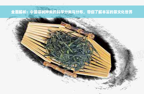 全面解析：中国茶树种类的科学分类与分布，带你了解丰富的茶文化世界