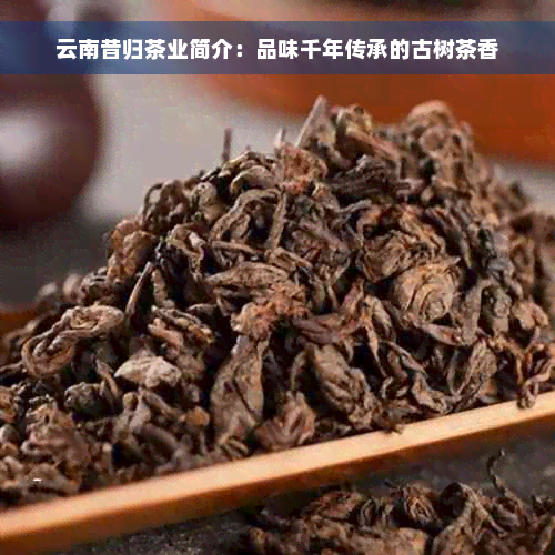 云南昔归茶业简介：品味千年传承的古树茶香