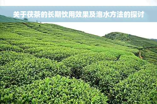 关于茯茶的长期饮用效果及泡水方法的探讨