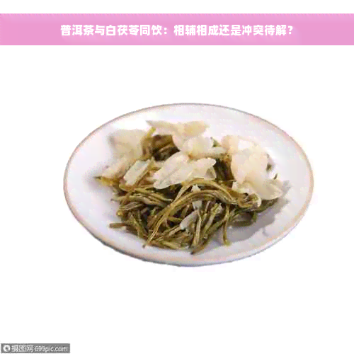 普洱茶与白茯苓同饮：相辅相成还是冲突待解？