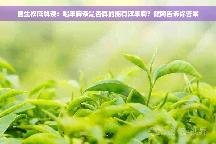 医生权威解读：喝丰胸茶是否真的能有效丰胸？健网告诉你答案