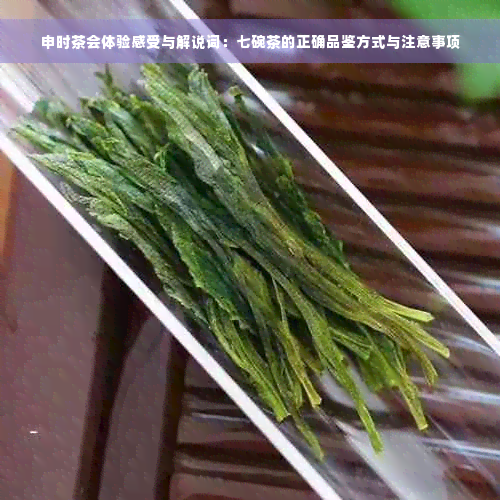 申时茶会体验感受与解说词：七碗茶的正确品鉴方式与注意事项