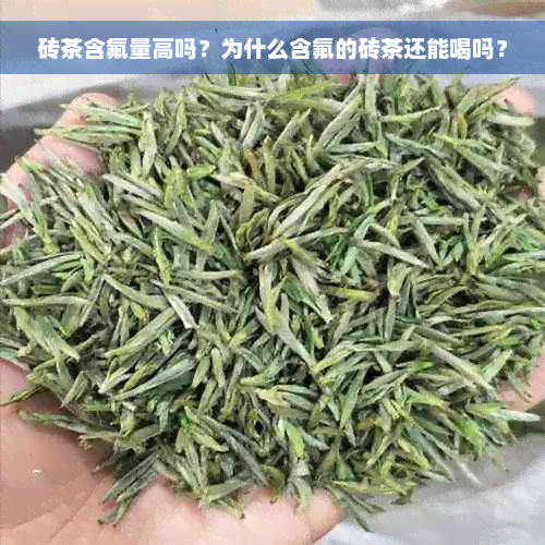 砖茶含氟量高吗？为什么含氟的砖茶还能喝吗？