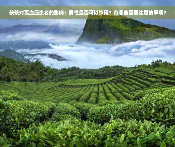 茯茶对高血压患者的影响：男性是否可以饮用？有哪些需要注意的事项？