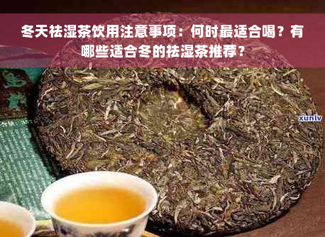 冬天祛湿茶饮用注意事项：何时最适合喝？有哪些适合冬的祛湿茶推荐？
