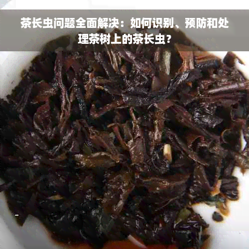 茶长虫问题全面解决：如何识别、预防和处理茶树上的茶长虫？